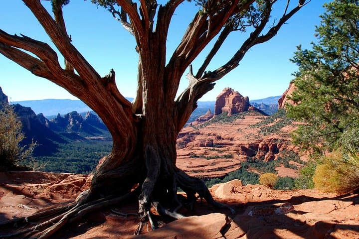 Conquer Sedona’s Red Rocks: Private 4x4 Jeep Tour to Old Bear Wallow Canyon photo 3