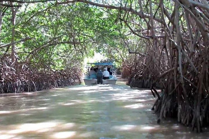 Celestun Biosphere Reserve Private Day Tour from Mérida — Flamingos & Ría Boat Ride photo 2