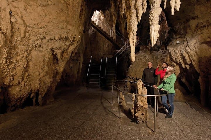 Waitomo Glowworm Caves Guided Tour — Boat Through New Zealand's Glowworm Grotto photo 3