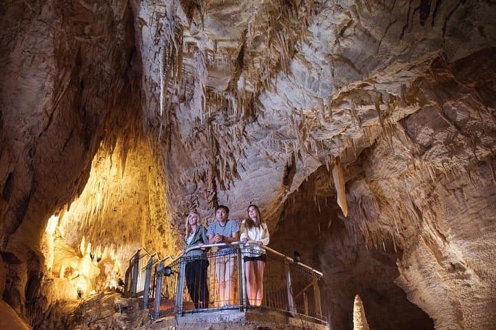 Ruakuri Cave Guided Tour: Waitomo Glowworms, Stalactites & Underground Rivers photo 2