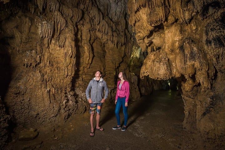 Aranui Cave Walk: 1-Hour Guided Tour in Waitomo's Hidden Limestone Chambers photo 2
