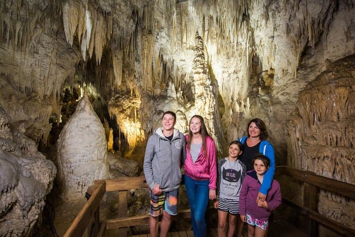Aranui Cave Walk: 1-Hour Guided Tour in Waitomo's Hidden Limestone Chambers