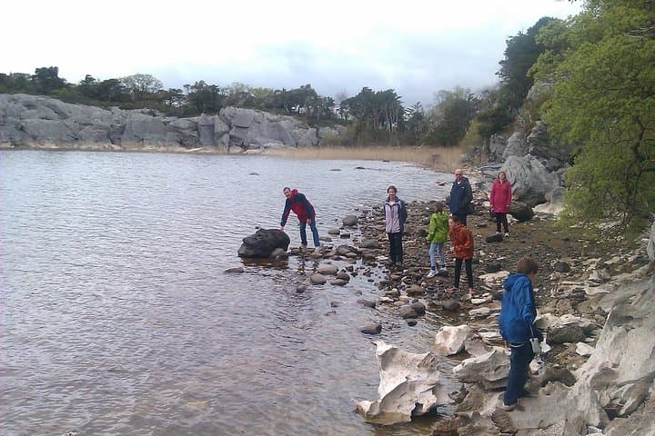 Explore Killarney National Park: A Guided 2-Hour Walking Adventure photo 2