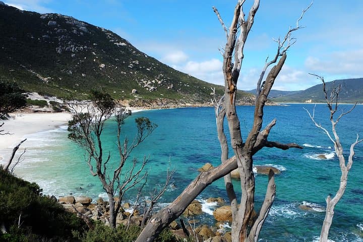 Wilsons Promontory Day Hike: Big Drift, Mt Oberon & Squeaky Beach photo 5