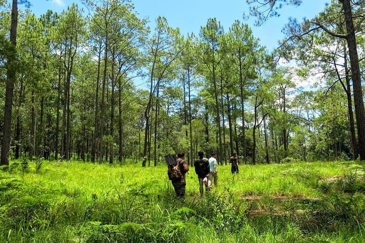 Kirirom National Park Day Tour from Phnom Penh — Pine Forests, Waterfalls & Lake Walks photo 2