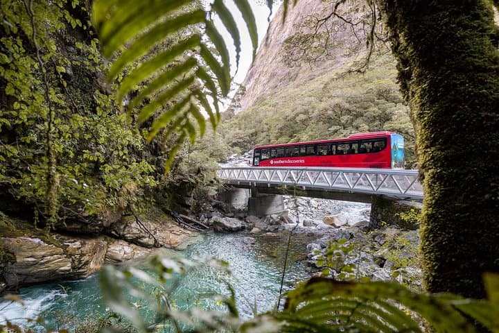 Milford Sound Coach & Nature Cruise from Te Anau with Lunch photo 2