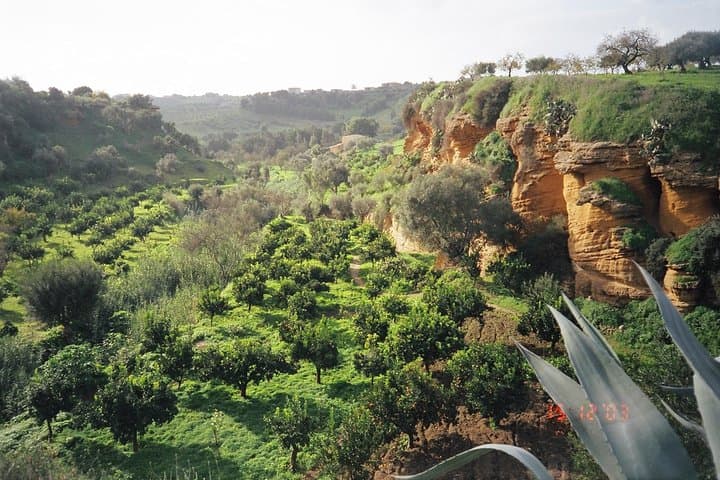 Explore Valley of the Temples & Kolymbethra: Private Guided Tour in Agrigento photo 2