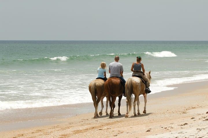 Negril Horseback Beach Ride & Ocean Swim — 1.5-Hour Guided Tour