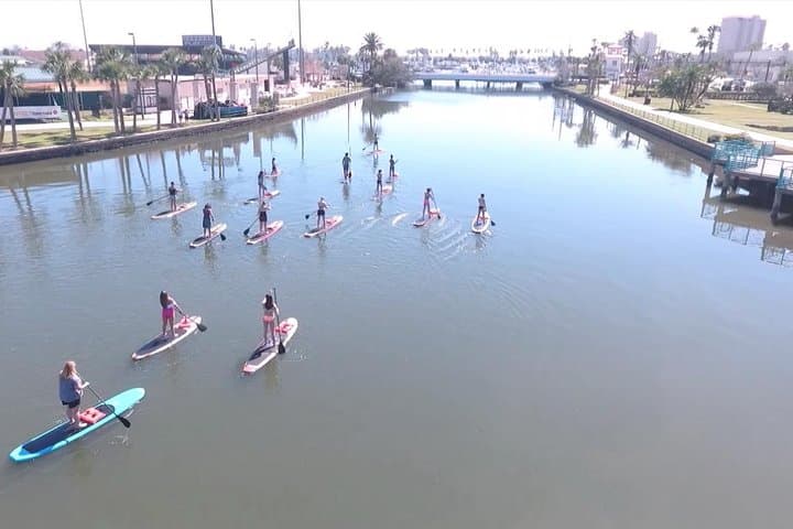 Daytona Beach Dolphin & Manatee Paddleboard Tour — 2-Hour Wildlife SUP Adventure photo 2