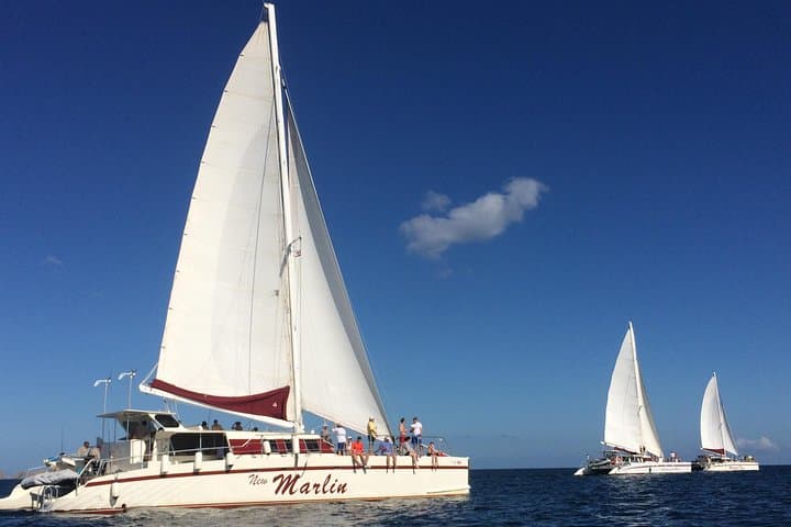 Tamarindo Snorkel & Sunset Catamaran Cruise with Lunch — Costa Rica Coastline photo 2