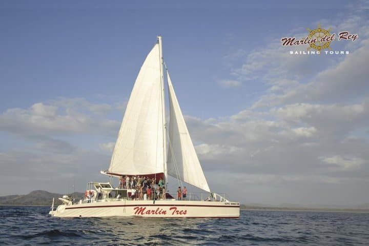 Catamaran Snorkeling and Sunset Sailing from Playas del Coco — Wildlife, BBQ & Open Bar photo 2