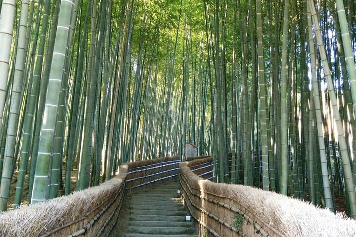 Private Highlights of Kyoto: A 7‑Hour Walking & Transit Tour of Temples, Bamboo & Gion