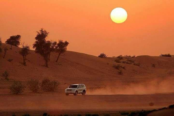 Two-Day Zagora Desert Camp and Draa Valley Private Tour from Marrakech photo 3