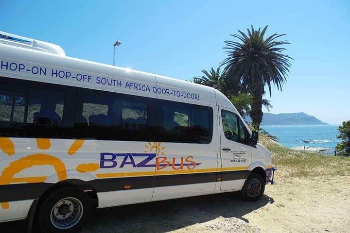 Port Elizabeth to Cape Town Hop-On Hop-Off Bus — Flexible Garden Route One-Way