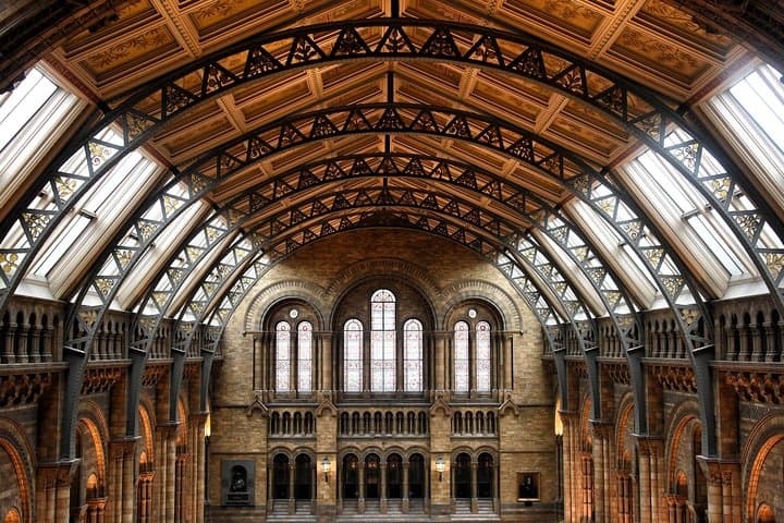 Natural History Museum London Private Guided Tour — Dinosaurs, Gems & Earth's Story photo 3
