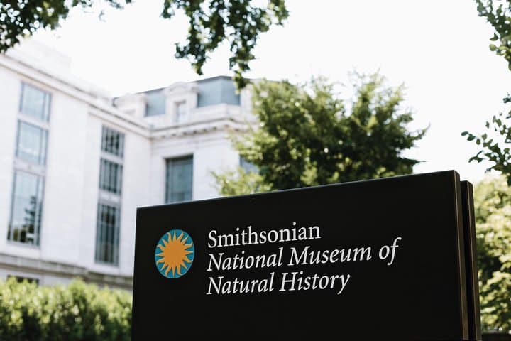 Smithsonian National Museum of Natural History Small-Group Tour: Highlights & Practical Guide photo 3