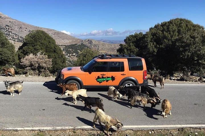 High Mountains 4x4 Adventure: Sarakina Gorge, Kritsa & Olive Oil Tasting (Crete) photo 2