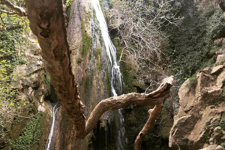 Richtis Waterfall & Azoria Olive Tasting: East Crete Gorge Adventure