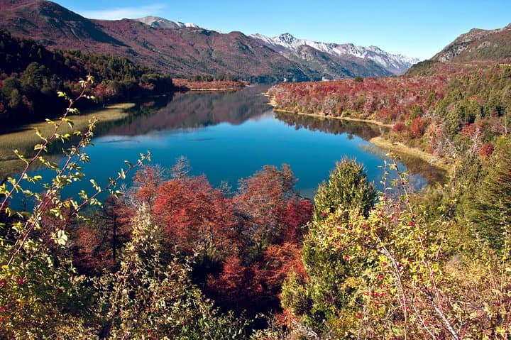 Kayak Lake Moreno or Lake Gutiérrez — Half-Day Bariloche Kayaking Tour photo 2