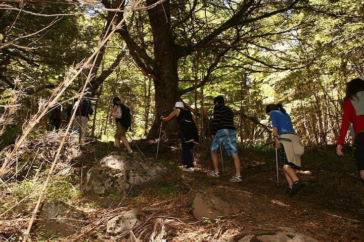 Summit Cerro Colorado Near San Martín de los Andes: Full-Day Guided Trek photo 3