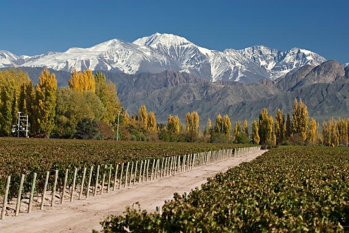 Mountains and Malbec: 4-Day Mendoza Escape from Buenos Aires