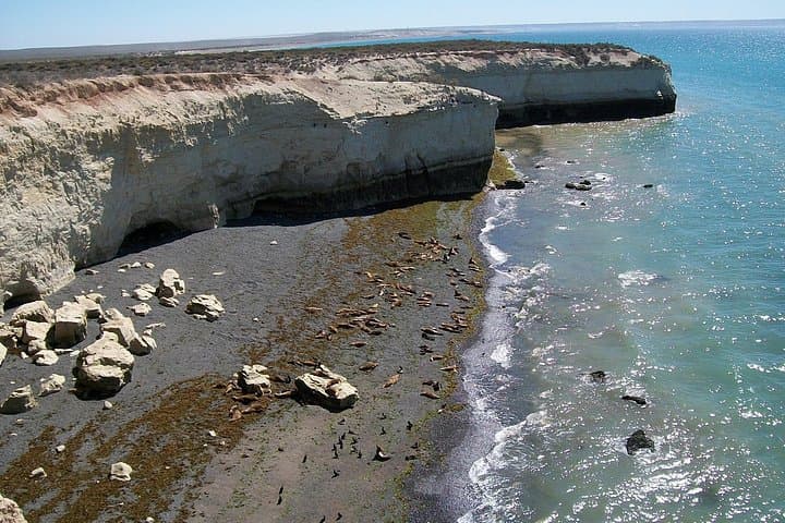 4-Day Puerto Madryn Wildlife & Valdés Peninsula Tour from Buenos Aires photo 2