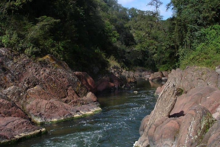 Yungas & El Rey National Park 4x4 Day Tour from Salta — Rivers, River Otters and Montane Jungle photo 2
