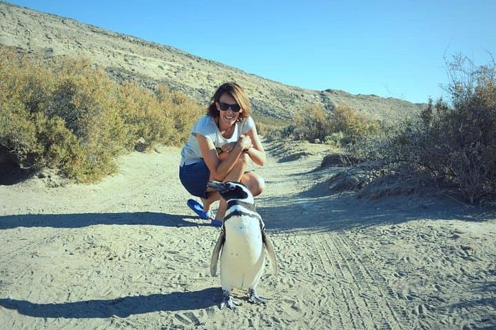 El Pedral Penguin Colony & Patagonian Ranch Full-Day Tour from Puerto Madryn