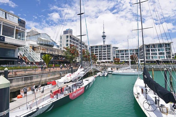 Auckland City Highlights: Small-Group Coastal & Volcanic Sights Tour