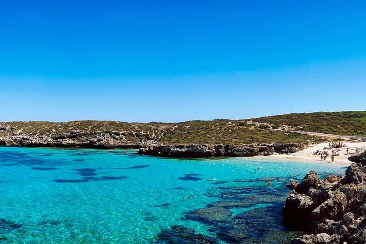 Rottnest Express: Full-Day Roundtrip Ferry from Hillarys Boat Harbour photo 5