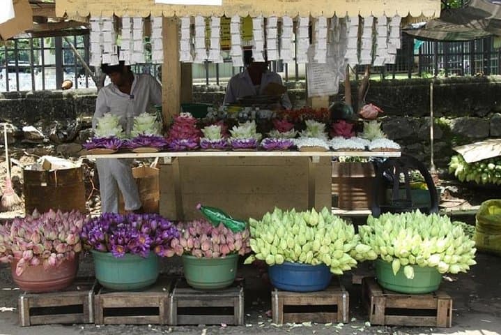 Sri Lanka 5-Day Private Luxury Cultural & Safari Tour