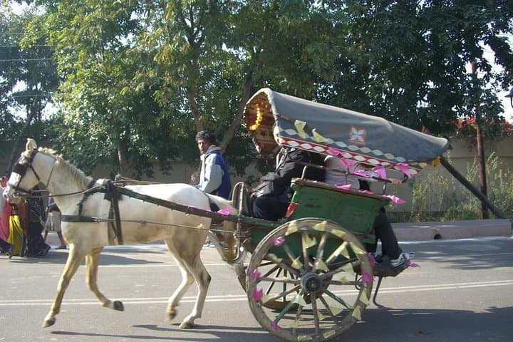 Udaipur Tonga Walk: Guided City Walking Tour with Iconic Tonga Ride