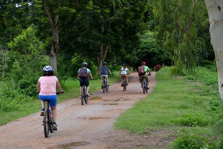 Chiang Rai Half-Day Cycling Tour to Wat Rong Khun (White Temple)