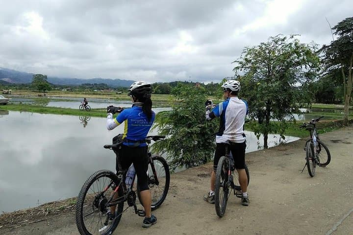 Chiang Rai Half-Day Cycling Tour to Wat Rong Khun (White Temple) photo 3