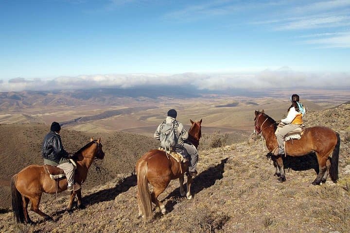Uco Valley Horseback Riding Tour with Traditional Argentine Asado from Mendoza