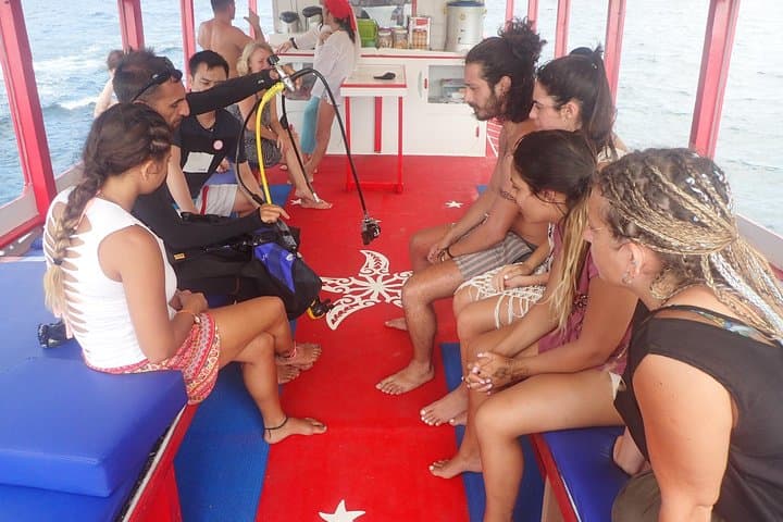 Discover Scuba Diving in Koh Tao: Two Beginner Dives at Japanese Garden & Mango Bay photo 2
