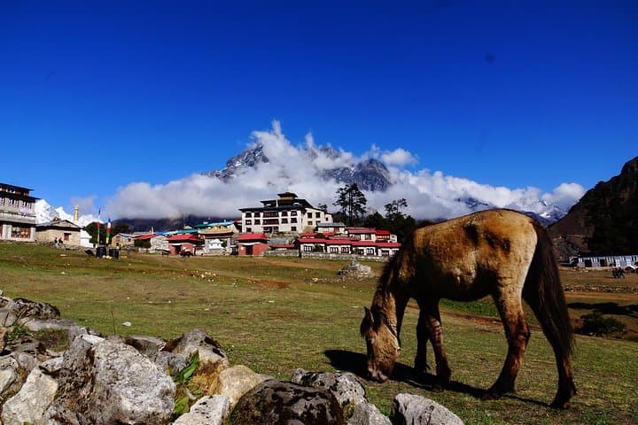 Everest Base Camp Trek: 14-Night Lukla to Everest Base Camp Adventure photo 3