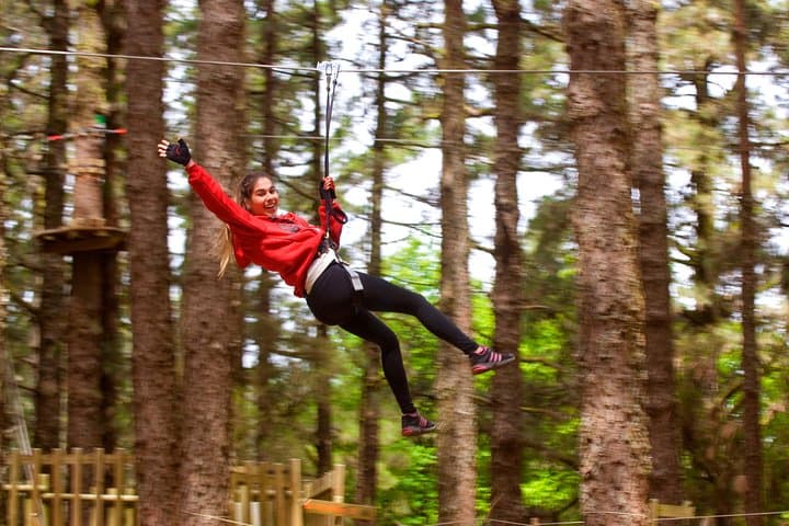Forestal Park Tenerife: Treetop Ziplines & Tarzan Swings at Teide's Edge