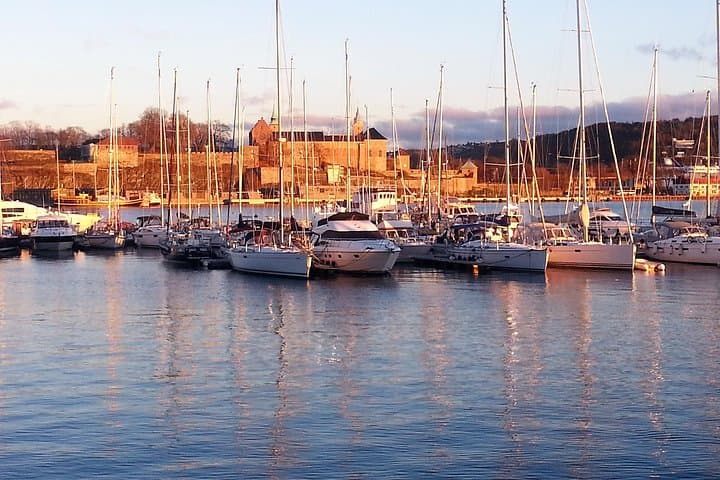 Island Hopping the Oslofjord: A Nature Walk Adventure from Oslo photo 4