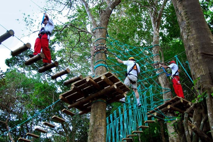 High-Ropes Course at Adventure Park Costa Rica — Rainforest Aerial Adventure photo 3