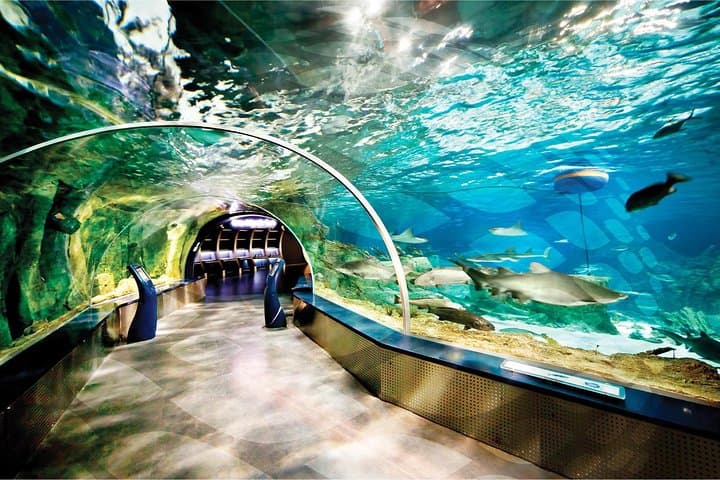 Istanbul Aquarium & Aqua Florya: 5-Hour Marine Immersion and Mall Escape