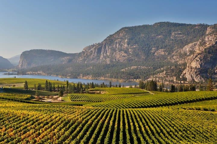 East Kelowna Wine Tour: Classic 4-Winery Tasting & Picnic Experience
