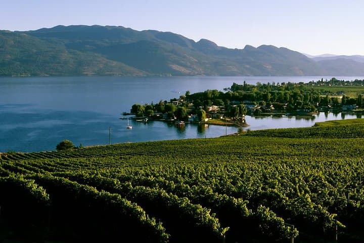 West Kelowna Wine Tour: Classic 4‑Winery Experience on the Okanagan West Side