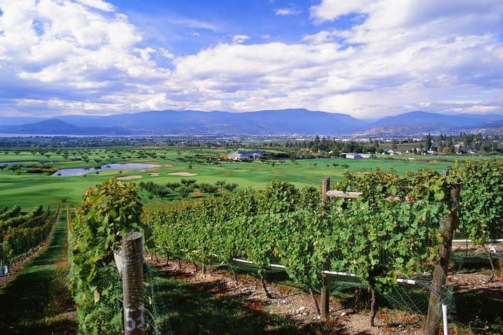 Okanagan Summerland Wine Tour: Classic 4‑Winery Experience with Bottleneck Drive Views photo 2
