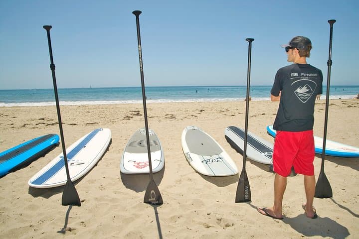 Stand-Up Paddleboard Lesson in Santa Barbara: Calm Harbor SUP Instruction & Seal Encounters