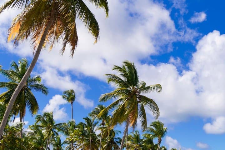 St Maarten Shore Excursion: Orient Bay & Maho Beach Half-Day Tour photo 2