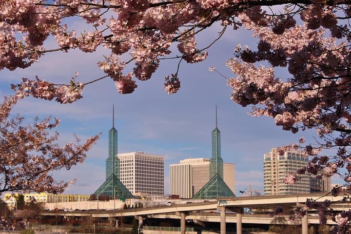 Portland Afternoon City Tour: Half-Day Downtown Highlights, Parks & Local Tips photo 1