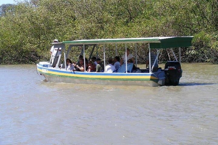 Palo Verde Jungle River Cruise and Diriá Coffee Farm Tour