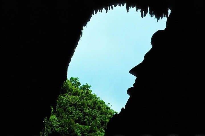 3-Day Mulu National Park Adventure: Deer Cave, Clearwater & Bat Exodus photo 1