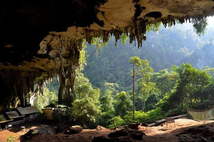 Niah National Park Day Trip from Miri — Caves, Plankwalk & Archaeology